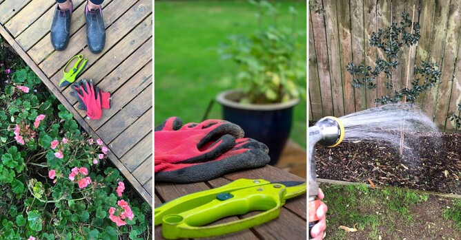 Garden cloves, watering plants.