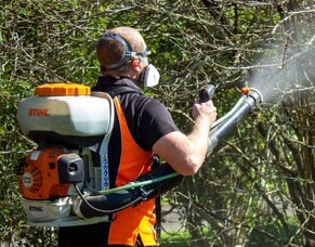 The Importance Of Spraying Fruit Trees In NZ