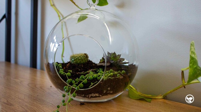 5th layer: adding the plants.