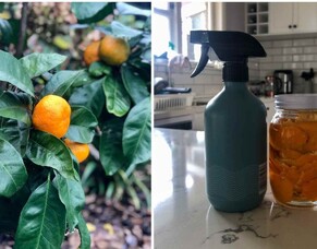 How To Turn Citrus Peels Into An All-Purpose Cleaner