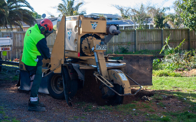 Stump Grinding: Your Ticket to a Beautiful, Functional Landscape