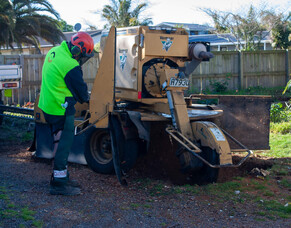 Benefits Of Stump Grinding