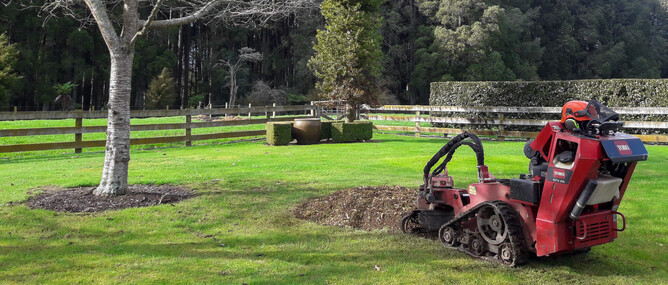 Toro Stump grinder in a back garden grinding a stump.