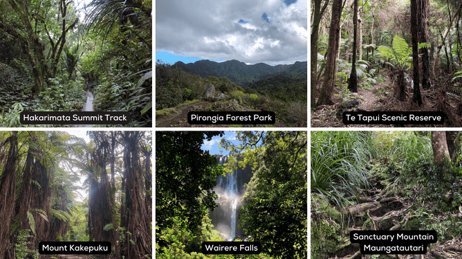 6 photos of walking tracks in the Waikato in New Zealand.