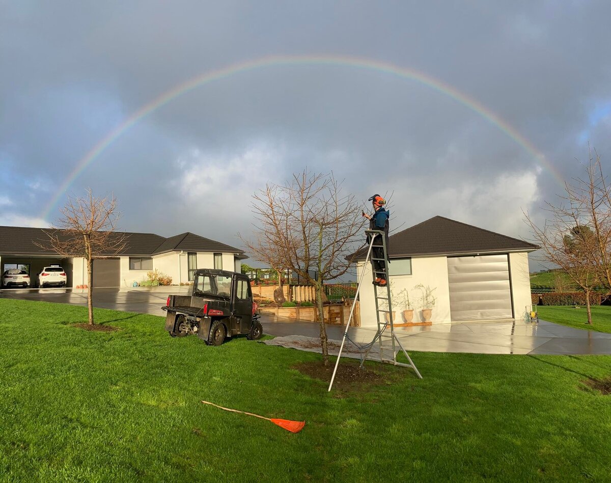 Why Winter Tree Pruning Is Important | Marc Doyle Treework