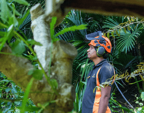 Case Study: Life As An Apprentice Arborist And Young Dad