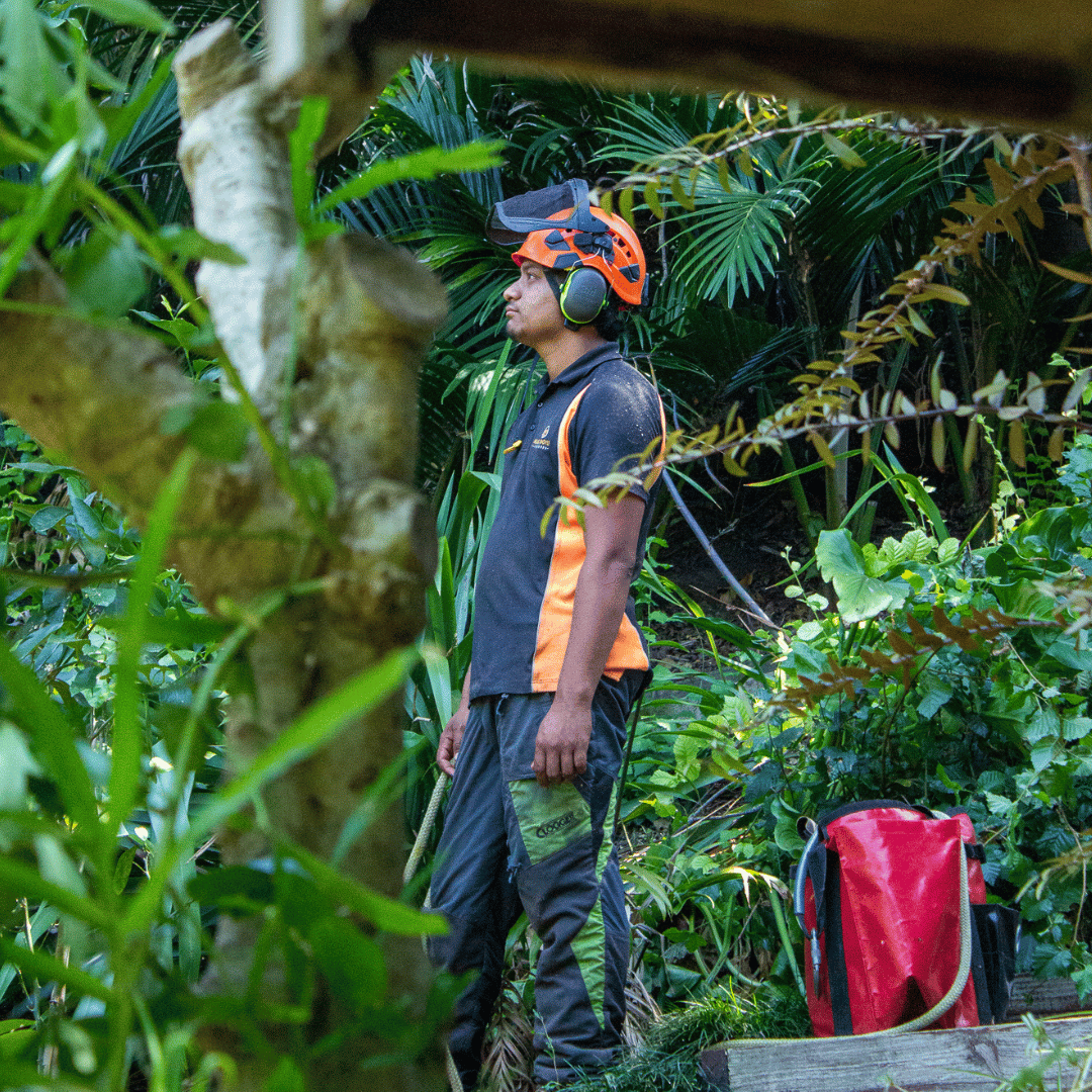 Case Study: Life As An Apprentice Arborist And Young Dad | Marc Doyle ...