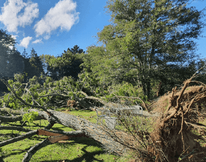 How to Prevent Storm Damage