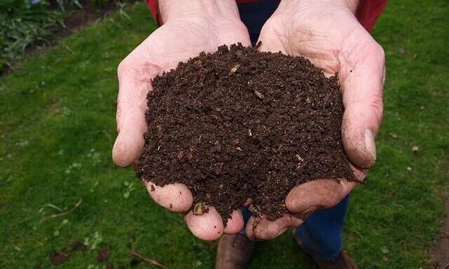 A man holding a handful of compost.