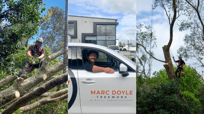 Photos of Kyle doing tree work and in his quoting vehicle.