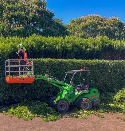 arborist trimming hedge