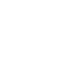 Icon of Quality (tick sign inside a round box)