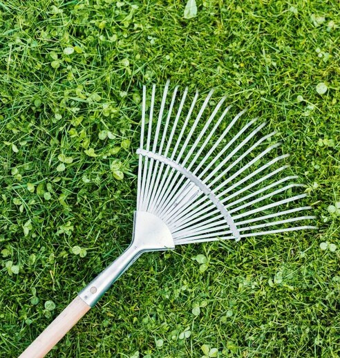 Arborist bringing a wheelbarrow full of trees to be planted.