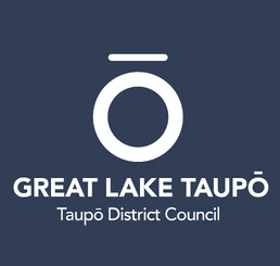 Strategic Business Planning with David Codyre at Working Solutions