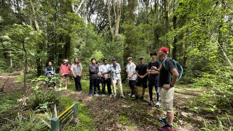 Mohi Bush walk, Maraetotara