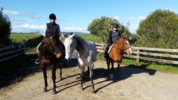 Picture 3: Miss Phoenix out hacking last week (September)