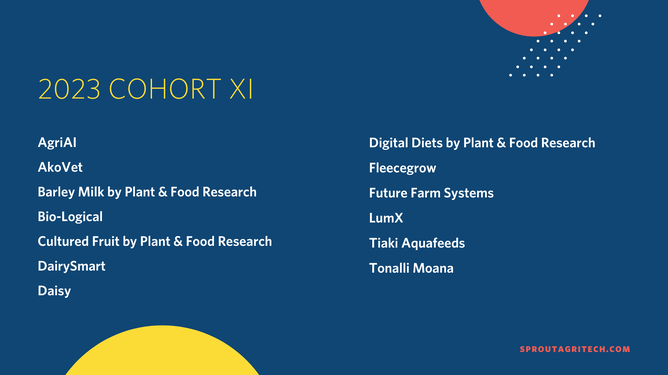 Sprout Accelerator Cohort XI - Announcement