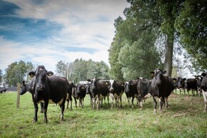 Can we reduce emissions and keep feeding the world?