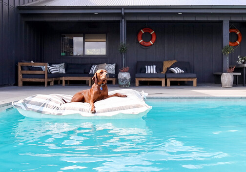 Harrison Lane content shoot