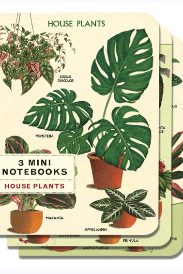 Cavallini & Co House Plants Set of 3 Different - Mini Notebooks  $19.00