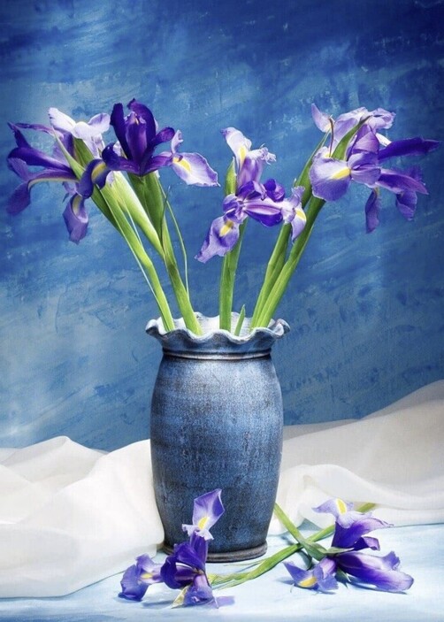 Puzzlesnz Nova 1000 Piece Jigsaw Puzzle Iris