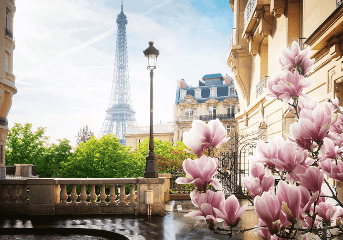 Ravensburger 500 Piece Jigsaw Puzzle Paris Skyline