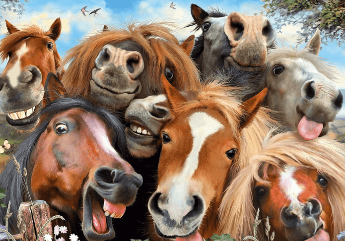 Ravensburger 500 Piece Jigsaw Puzzle Horsing Around
