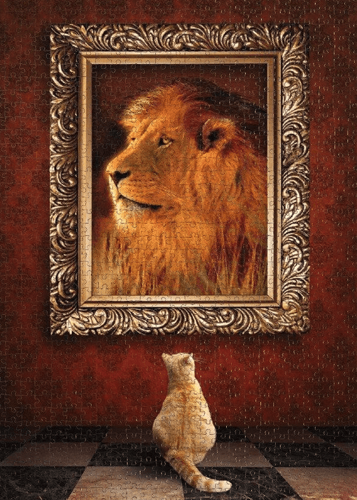 Puzzlesnz Nova 1000 Piece Jigsaw Puzzle Admiration