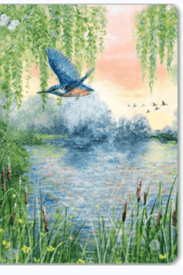 Museums & Galleries Kingfisher MINI NOTEBOOK size 125 x 90 x 30mm $6.50