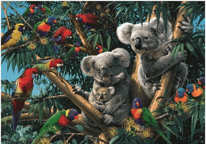 Ravensburger 500 Piece Jigsaw Puzzle Koalas In a Tree