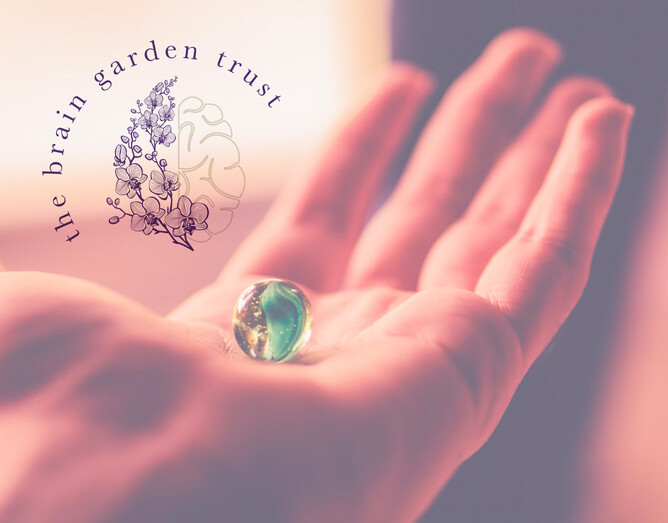 Bringing emotional culture into the class environment | The Brain Garden Trust