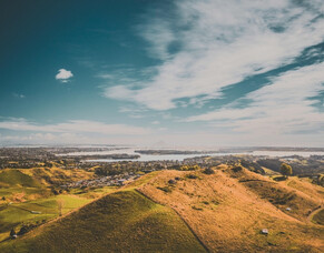 Understanding Limited Titles