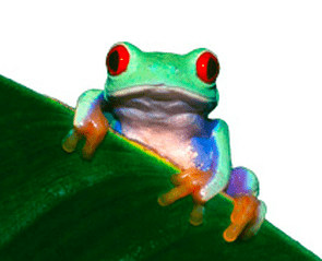 Tank Test Certifications