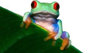 Action Manufacturing ERP 2019