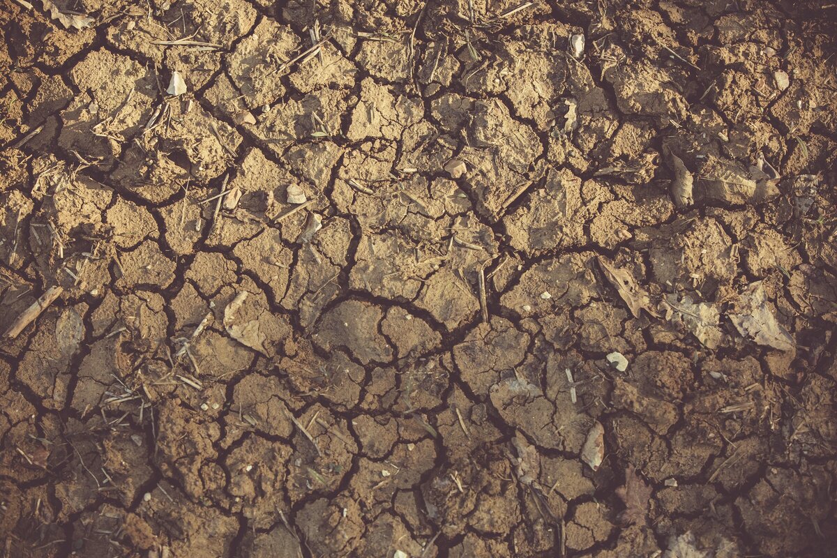 Soil Exhaustion Causes And Solutions For Sustainable Agriculture 