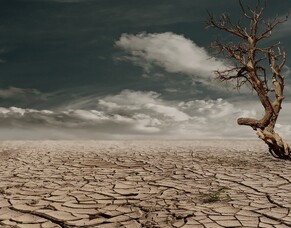 Protecting Soil from Extreme Weather Events Part 2: Drought