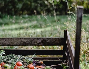 The Science of Composting and its Role in Regenerative Agriculture in New Zealand.