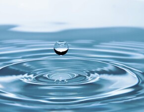 Hydration in Composting: The Key to Quality at Every Stage