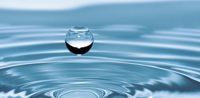 Water is a key component to high quality composting. 