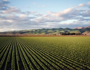 Reconnecting the Dots: Revitalizing the Nutrient Cycle