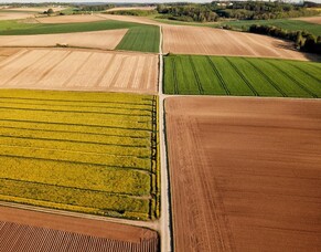 The Importance of Soil Structure and How to Prevent Soil Compaction