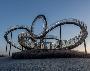 The Nutrient Cycle: How Little Buddies&#039; Worm Farms Transform Our Environment