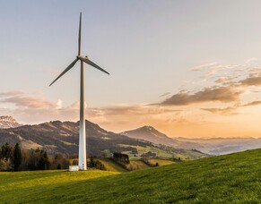 Navigating Net Zero -  A Potential Crisis for New Zealand Agriculture