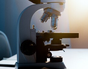 Protozoa: Unsung Heroes of Healthy Soil