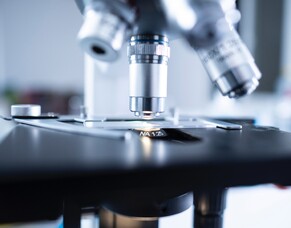 What are nematodes and why are they important?