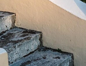 Lichen growth on steps