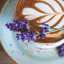 Relax and unwind at Clementine Cafe in Amber Garden Centre, Cambridge