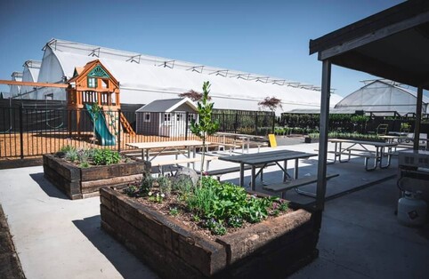 Clementine Cafe at Amber Garden Centre in Cambridge is a family friendly cafe