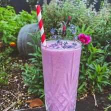 Take a break from shopping and enjoy a meal at Clementine Cafe in Amber Garden Centre, Cambridge