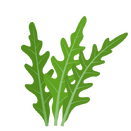 Contact Amber Garden Centre for your rocket plants